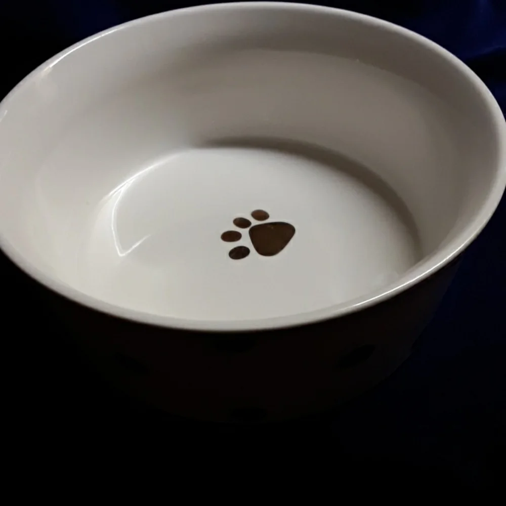 Dog bowl